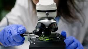 Laboratorium Mikrobiologi Farmasi